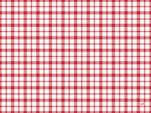 Set de table rouge papier 30x40 cm Giovanni Duni (250 pièces)