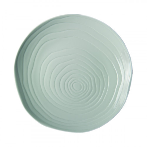 Assiette coupe plate rond blanc porcelaine culinaire Ø 26,5 cm Teck Pillivuyt