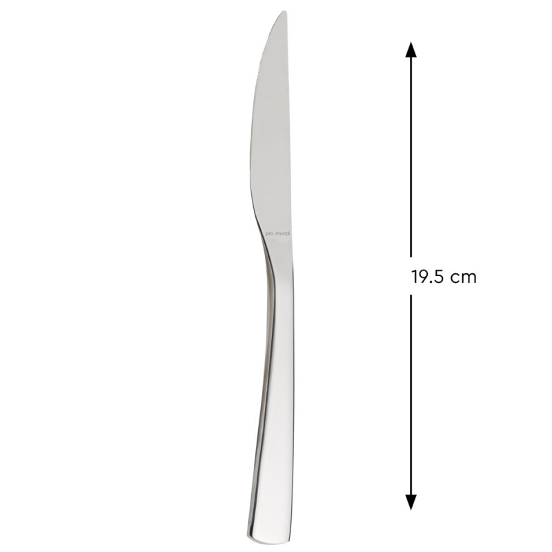 Couteau à dessert monobloc cranté 19,5 cm Izia Pro.mundi