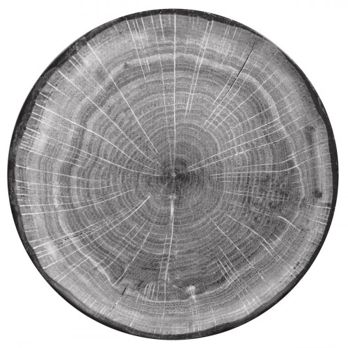 Assiette coupe plate rond beech porcelaine vitrifiée Ø 20,9 cm Woodart Rak