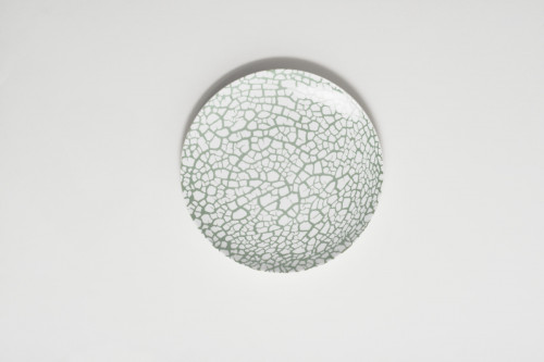 Assiette coupe plate rond vert porcelaine vitrifiée Ø 28 cm Botanic Astera