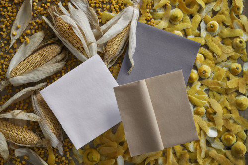 Serviettes blanc non tissé 40x40 cm Bio Dunisoft Duni (60 pièces)