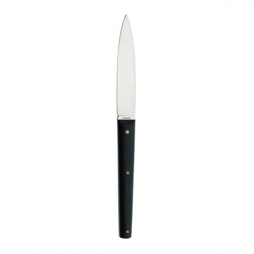 Couteau à steak en inox 13Cr 23 cm Mirage Degrenne